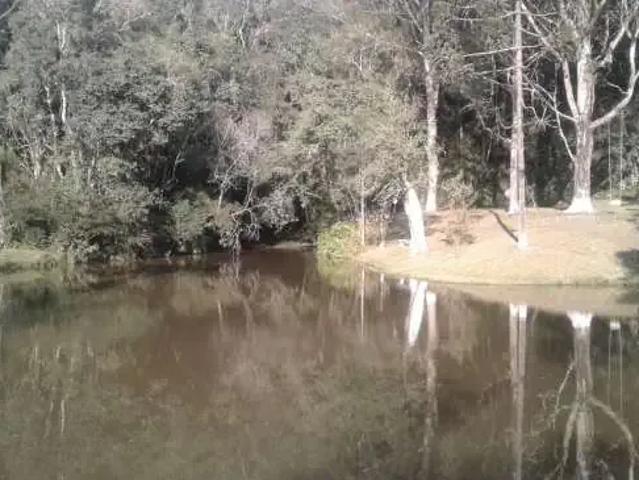 Sítio e chácara venda em Região Geográfica Imediata de Curitiba, Região Metropolitana de Curitiba