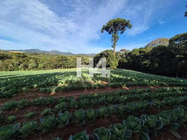 Sítio e chácara venda em Região Geográfica Imediata de Curitiba, Região Metropolitana de Curitiba