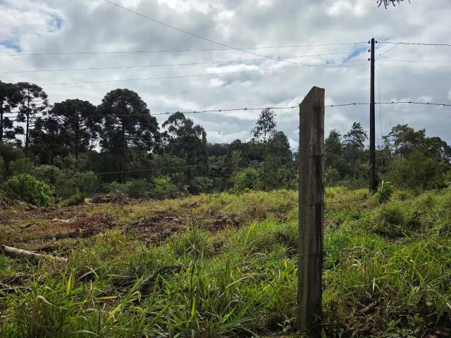 Sítio e chácara venda em Região Geográfica Imediata de Curitiba, Região Metropolitana de Curitiba