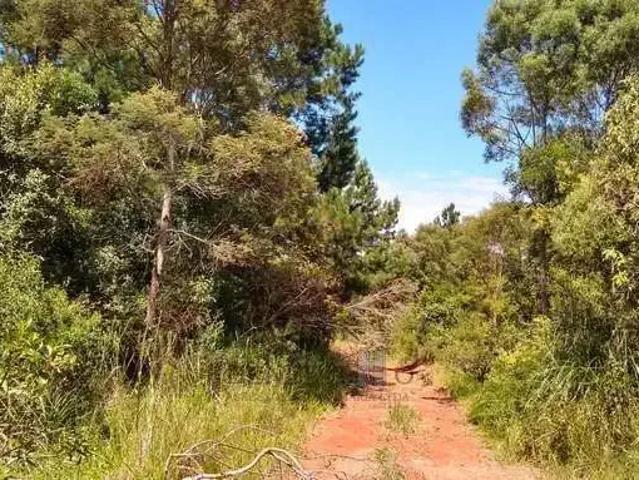Sítio e chácara venda em Região Geográfica Imediata de Curitiba, Região Metropolitana de Curitiba