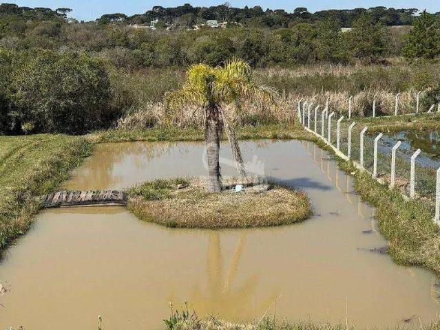 Sítio e chácara venda em Região Geográfica Imediata de Curitiba, Região Metropolitana de Curitiba