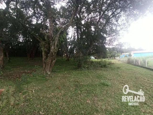 Sítio e chácara venda em Região Geográfica Imediata de Curitiba, Região Metropolitana de Curitiba