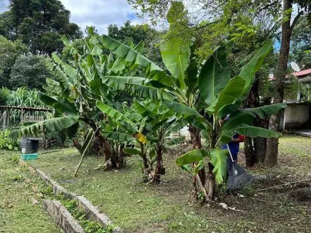 Sítio e chácara venda em Região Geográfica Imediata de Curitiba, Região Metropolitana de Curitiba