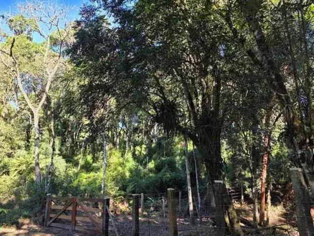 Sítio e chácara venda em Região Geográfica Imediata de Curitiba, Região Metropolitana de Curitiba
