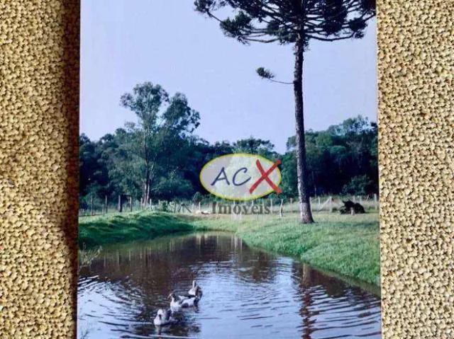 Sítio e chácara venda em Região Geográfica Imediata de Curitiba, Região Metropolitana de Curitiba