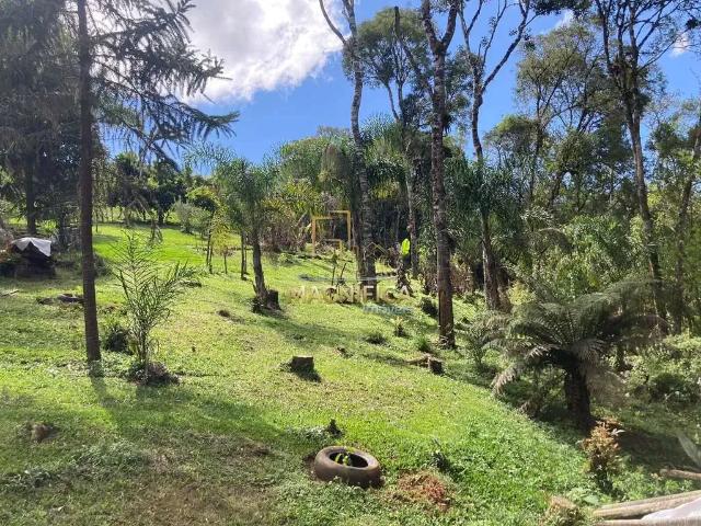 Sítio e chácara venda em Região Geográfica Imediata de Curitiba, Região Metropolitana de Curitiba
