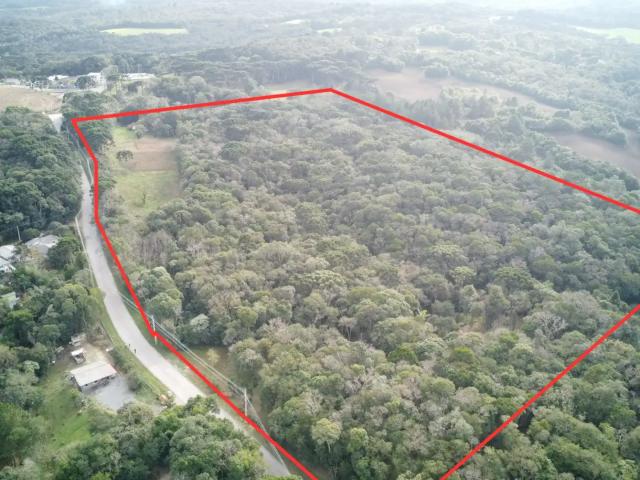 Sítio e chácara venda em Região Geográfica Imediata de Curitiba, Região Metropolitana de Curitiba