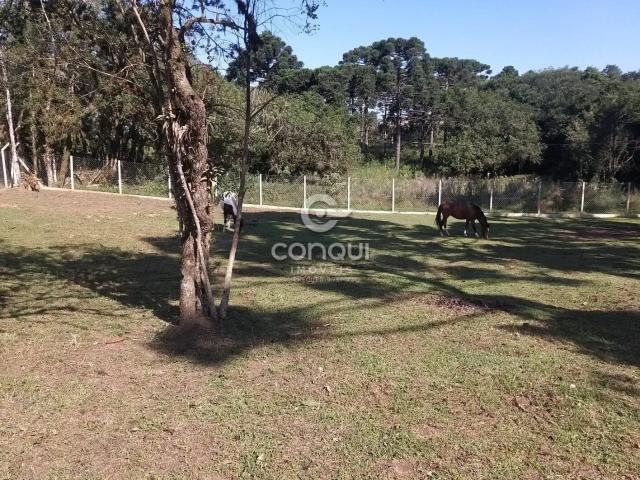 Sítio e chácara venda em Região Geográfica Imediata de Curitiba, Região Metropolitana de Curitiba