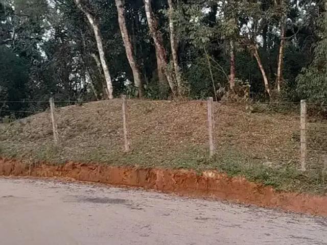 Sítio e chácara venda em Região Geográfica Imediata de Paranaguá, Região Metropolitana de Curitiba