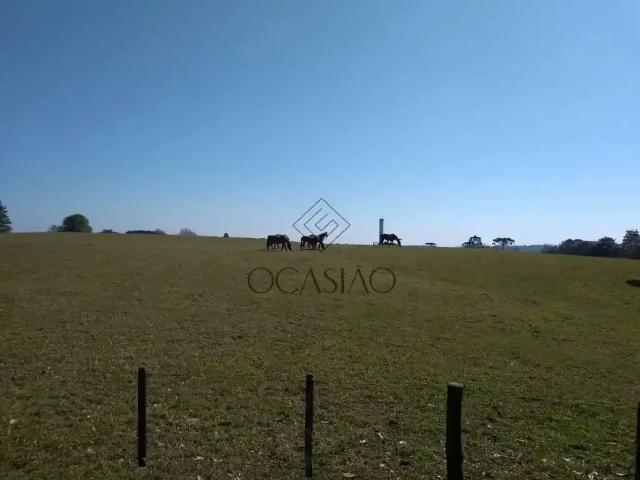 Sítio e chácara venda em Região Geográfica Imediata de Curitiba, Região Metropolitana de Curitiba