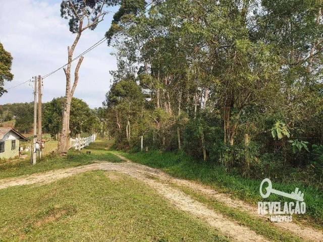 Sítio e chácara venda em Região Geográfica Imediata de Curitiba, Região Metropolitana de Curitiba
