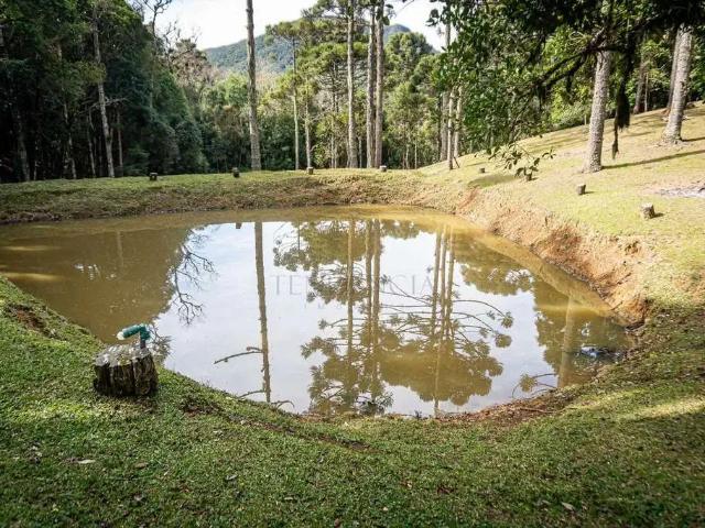 Sítio e chácara venda em Região Geográfica Imediata de Curitiba, Região Metropolitana de Curitiba