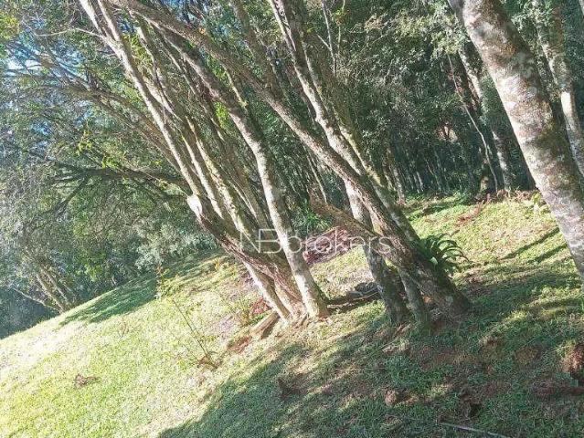 Sítio e chácara venda em Região Geográfica Imediata de Curitiba, Região Metropolitana de Curitiba