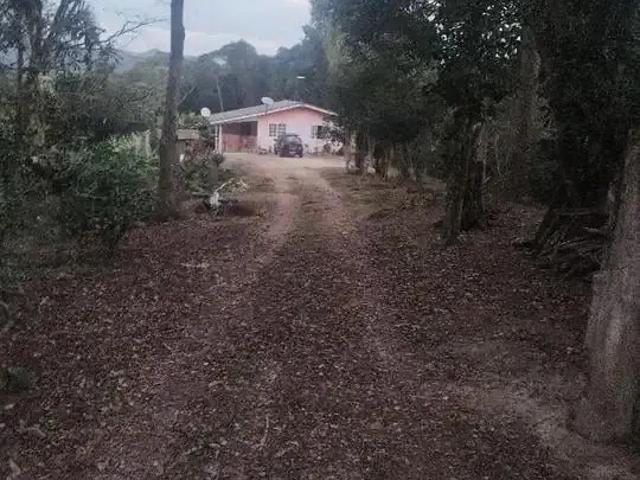 Sítio e chácara venda em Região Geográfica Imediata de Curitiba, Região Metropolitana de Curitiba