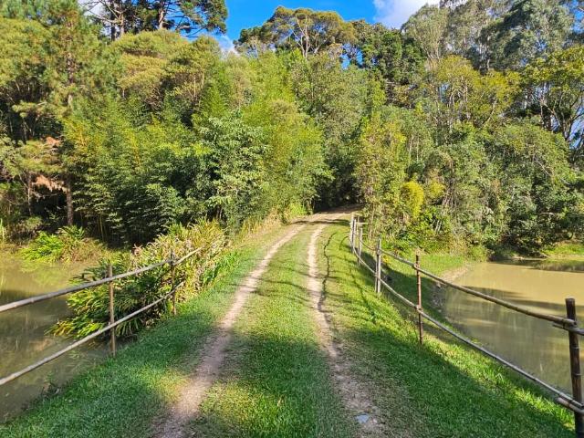 Sítio e chácara venda em Região Geográfica Imediata de Curitiba, Região Metropolitana de Curitiba