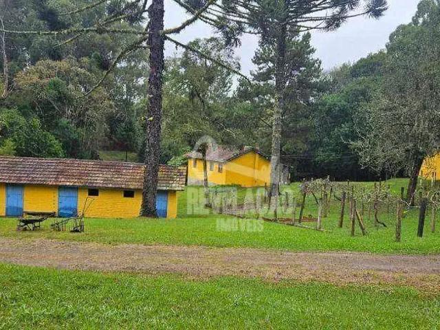 Sítio e chácara venda em Região Geográfica Imediata de Curitiba, Região Metropolitana de Curitiba