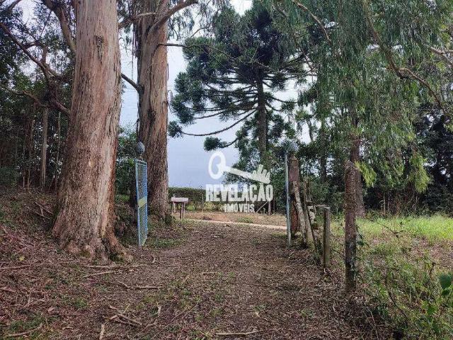 Sítio e chácara venda em Região Geográfica Imediata de Curitiba, Região Metropolitana de Curitiba