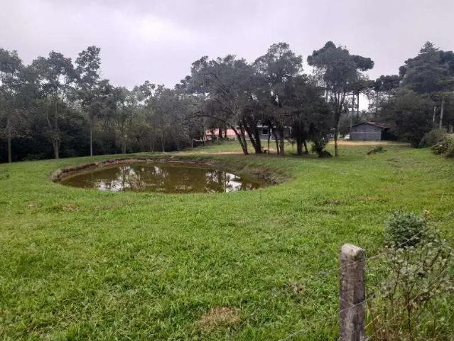 Sítio e chácara venda em Região Geográfica Imediata de Curitiba, Região Metropolitana de Curitiba