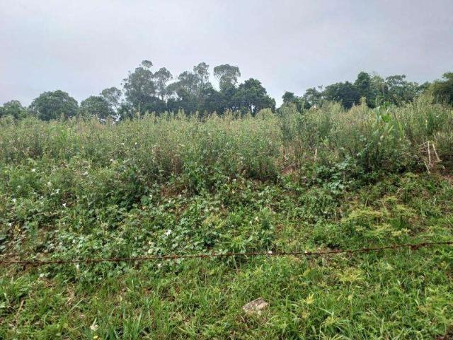 Sítio e chácara venda em Região Geográfica Imediata de Curitiba, Região Metropolitana de Curitiba