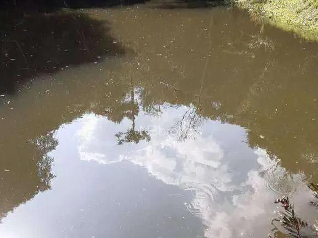 Sítio e chácara venda em Região Geográfica Imediata de Curitiba, Região Metropolitana de Curitiba