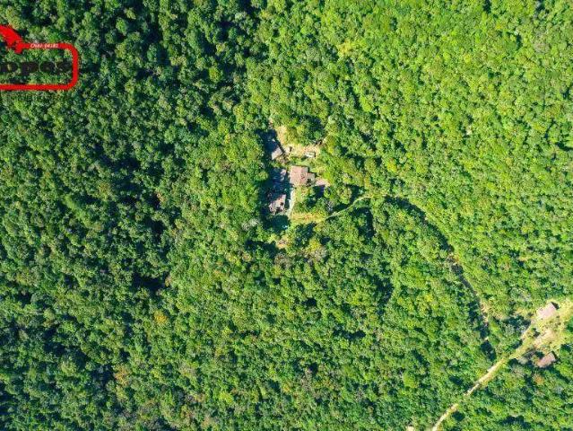 Sítio e chácara venda em Região Geográfica Imediata de Curitiba, Região Metropolitana de Curitiba