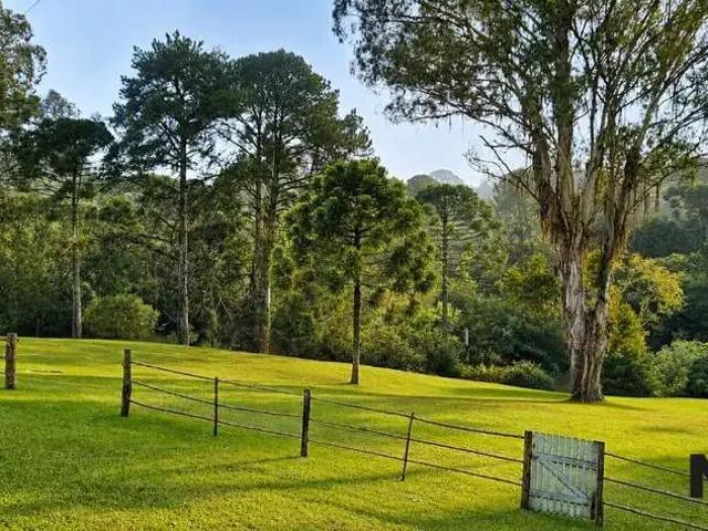 Sítio e chácara venda em Região Geográfica Imediata de Curitiba, Região Metropolitana de Curitiba