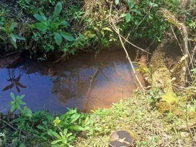 Sítio e chácara venda em Região Geográfica Imediata de Curitiba, Região Metropolitana de Curitiba