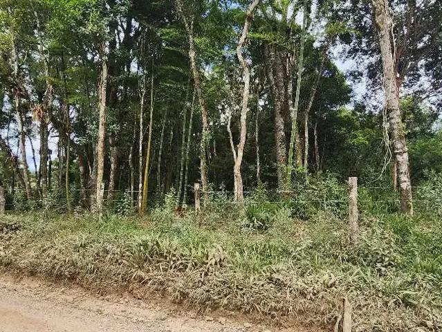 Sítio e chácara venda em Região Geográfica Imediata de Curitiba, Região Metropolitana de Curitiba