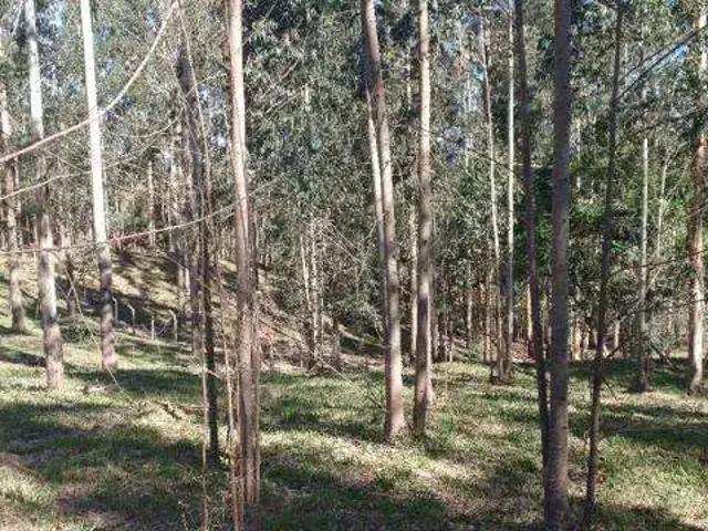 Sítio e chácara venda em Região Geográfica Imediata de Curitiba, Região Metropolitana de Curitiba