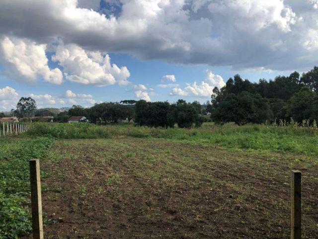 Sítio e chácara venda em Região Geográfica Imediata de Curitiba, Região Metropolitana de Curitiba