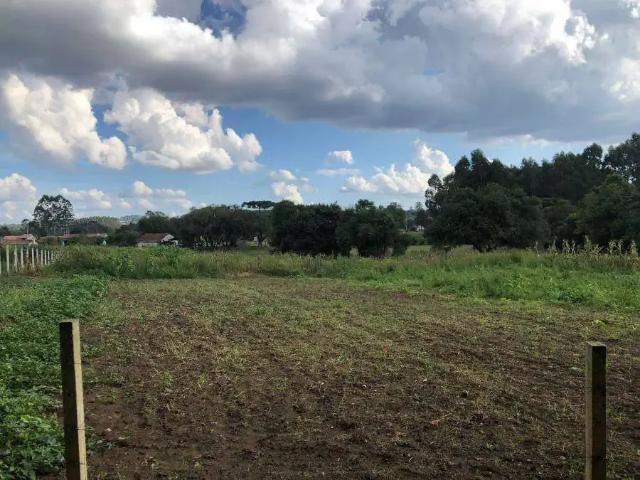 Sítio e chácara venda em Região Geográfica Imediata de Curitiba, Região Metropolitana de Curitiba