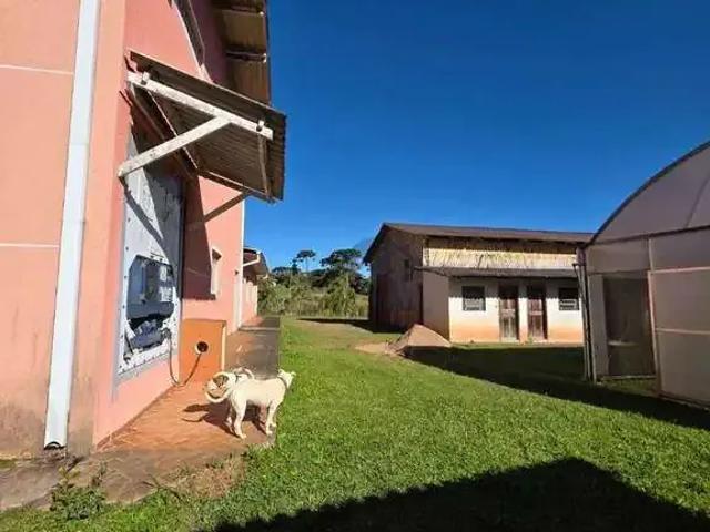 Sítio e chácara venda em Região Geográfica Imediata de Curitiba, Região Metropolitana de Curitiba