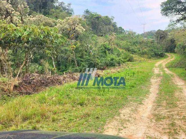 Sítio e chácara venda em Região Geográfica Imediata de Curitiba, Região Metropolitana de Curitiba