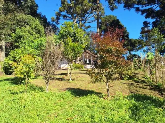 Sítio e chácara venda em Região Geográfica Imediata de Curitiba, Região Metropolitana de Curitiba