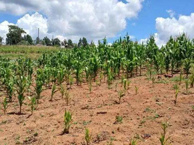 Sítio e chácara venda em Região Geográfica Imediata de Curitiba, Região Metropolitana de Curitiba