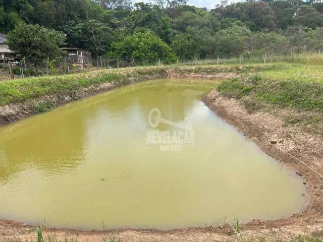 Sítio e chácara venda em Região Geográfica Imediata de Curitiba, Região Metropolitana de Curitiba