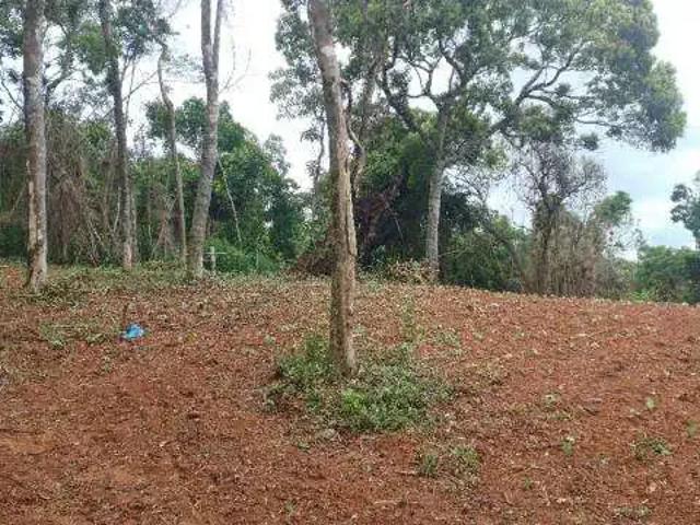 Sítio e chácara venda em Região Geográfica Imediata de Curitiba, Região Metropolitana de Curitiba