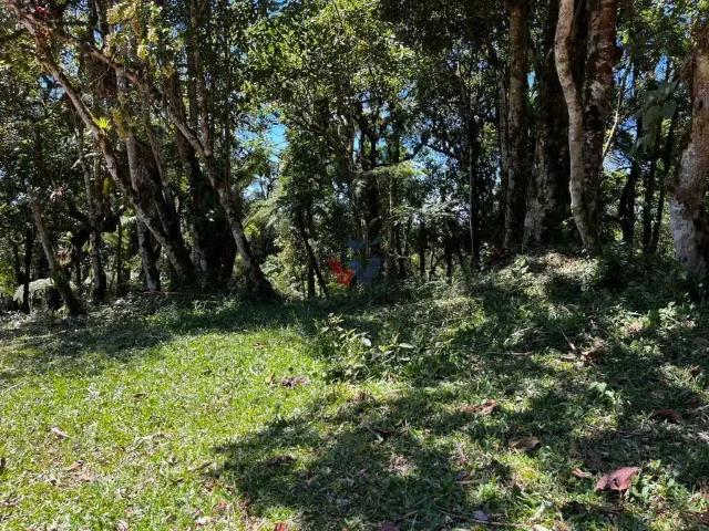Sítio e chácara venda em Região Geográfica Imediata de Curitiba, Região Metropolitana de Curitiba