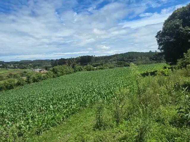 Sítio e chácara venda em Região Geográfica Imediata de Curitiba, Região Metropolitana de Curitiba