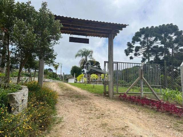 Sítio e chácara venda em Região Geográfica Imediata de Curitiba, Região Metropolitana de Curitiba