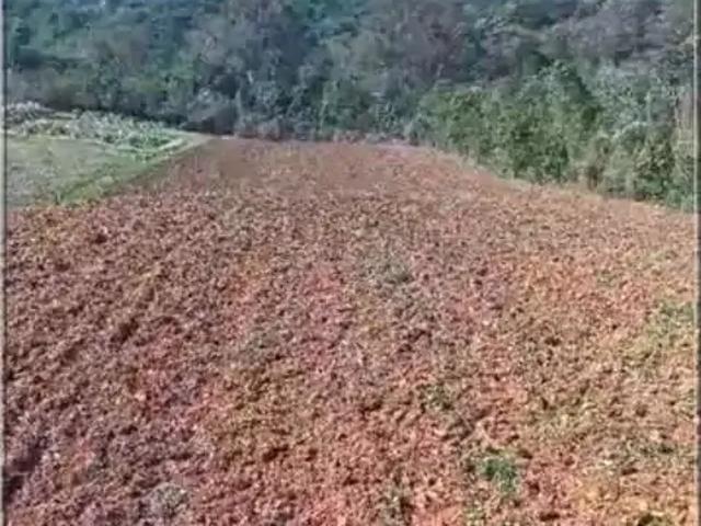 Sítio e chácara venda em Região Geográfica Imediata de Curitiba, Região Metropolitana de Curitiba