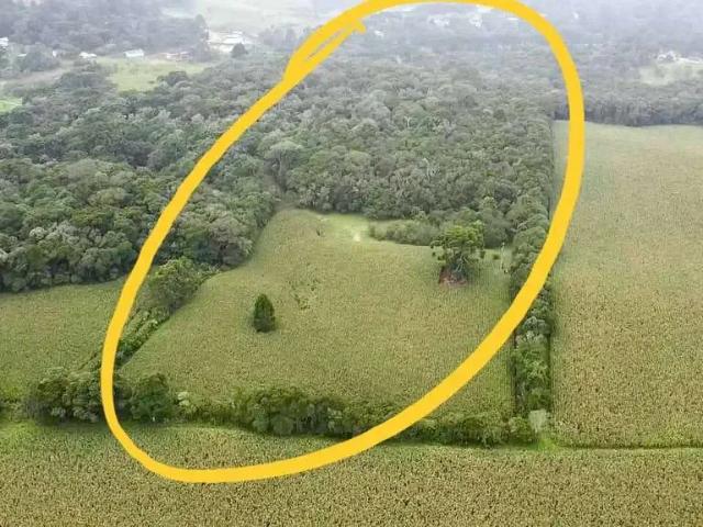 Sítio e chácara venda em Região Geográfica Imediata de Curitiba, Região Metropolitana de Curitiba
