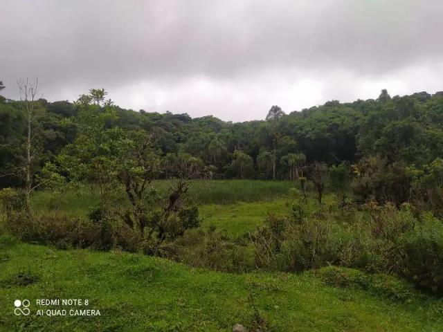 Sítio e chácara venda em Região Geográfica Imediata de Curitiba, Região Metropolitana de Curitiba