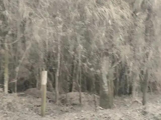 Sítio e chácara venda em Região Geográfica Imediata de Curitiba, Região Metropolitana de Curitiba