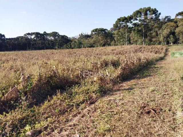 Sítio e chácara venda em Região Geográfica Imediata de Curitiba, Região Metropolitana de Curitiba