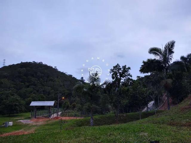 Sítio e chácara venda em Região Geográfica Imediata de Florianópolis, São José