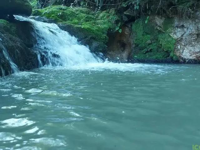 Sítio e chácara venda em Região Geográfica Imediata de Florianópolis, São José