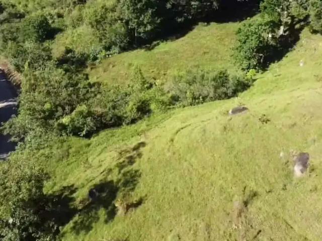 Sítio e chácara venda em Região Geográfica Imediata de Florianópolis, São José