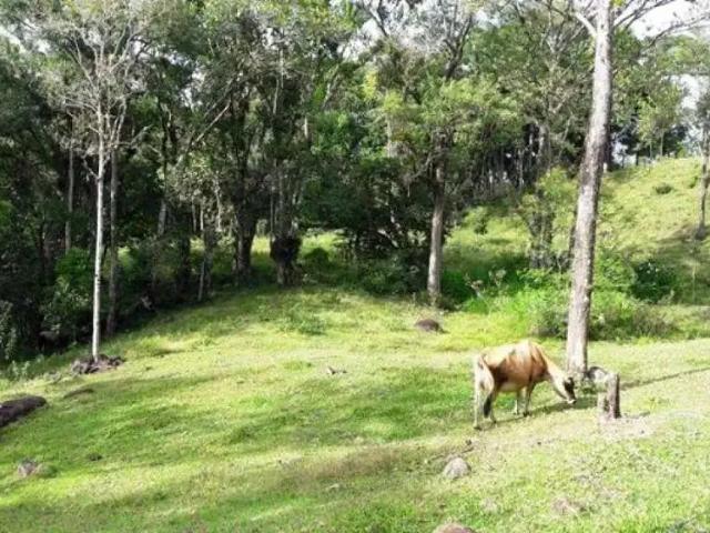 Sítio e chácara venda em Região Geográfica Imediata de Florianópolis, São José
