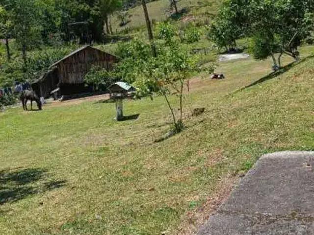 Sítio e chácara venda em Região Geográfica Imediata de Florianópolis, São José